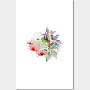 Hummingbird ecuadorian with flowers Posters and Art